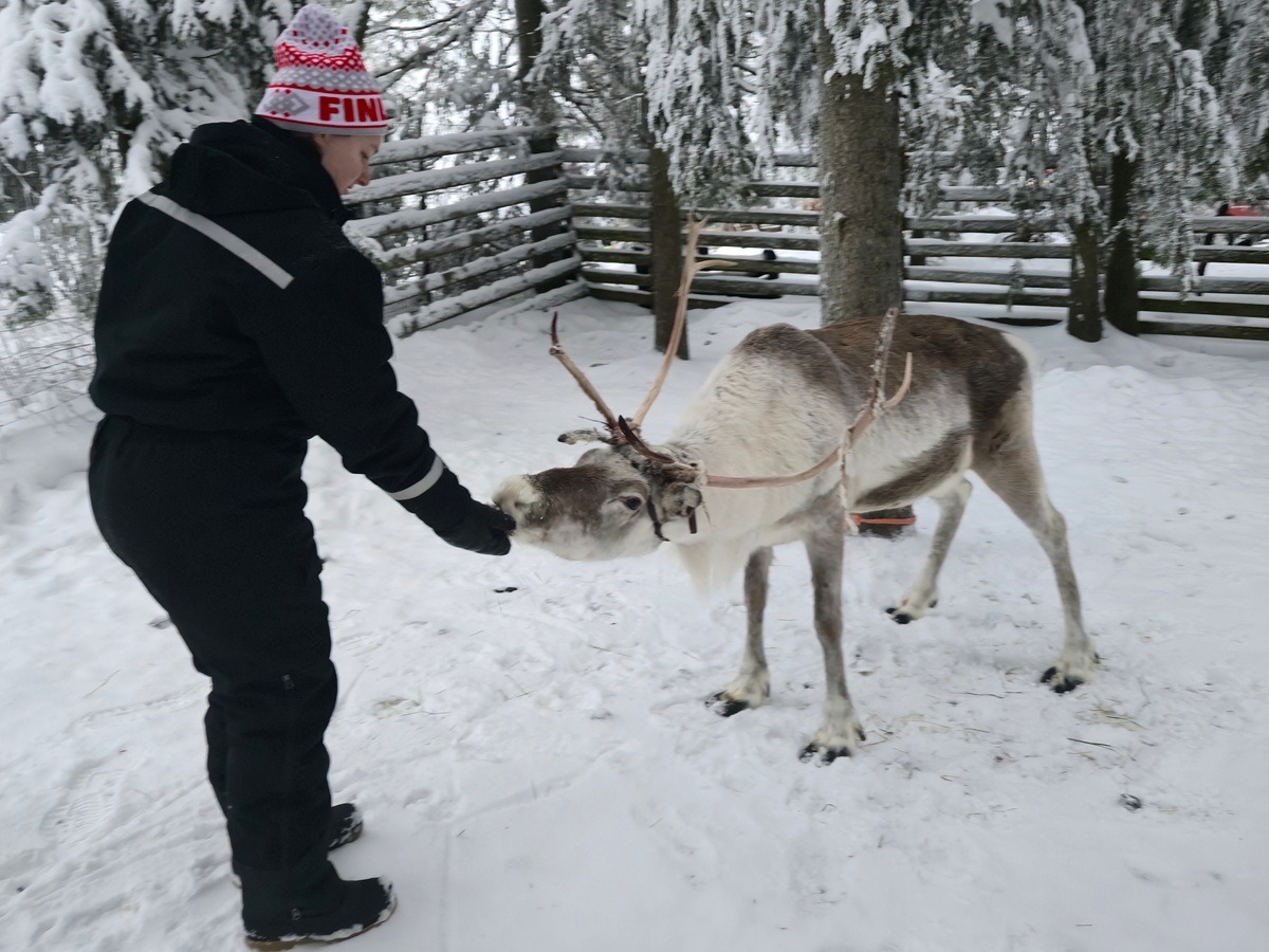 rendieren zien in ruka