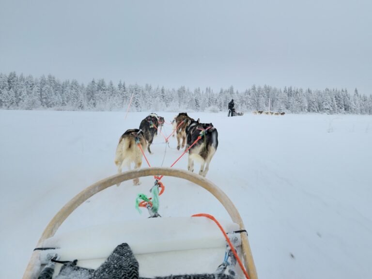 hondenslee in ruka