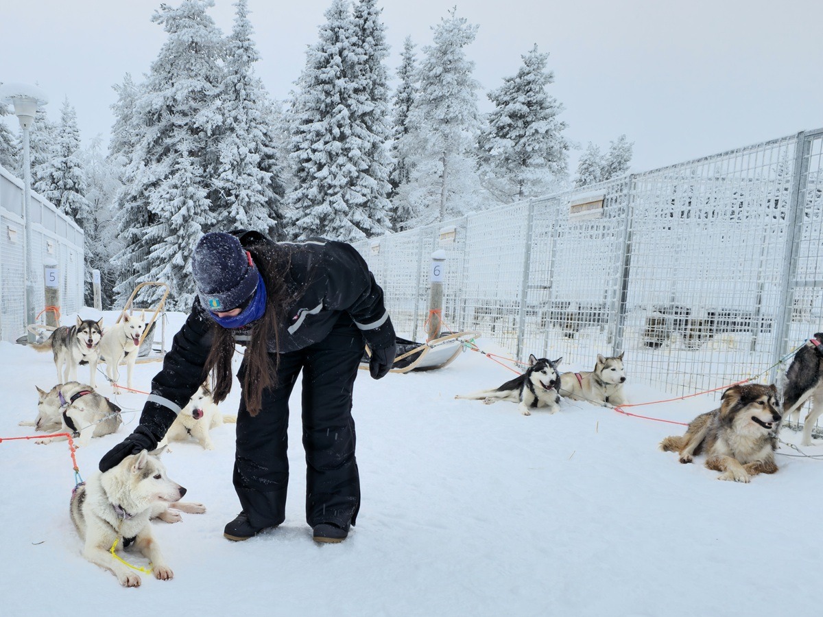 huskysafari in ruka