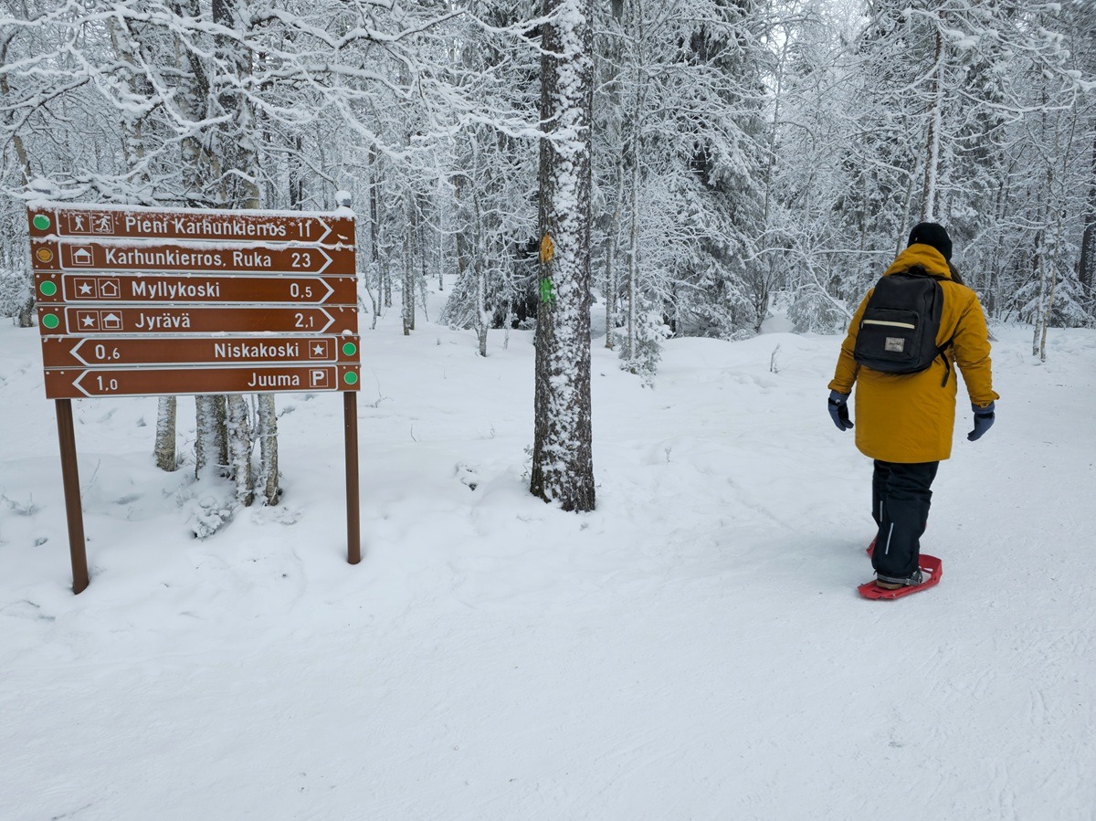 sneeuwschoenwandelen in ruka