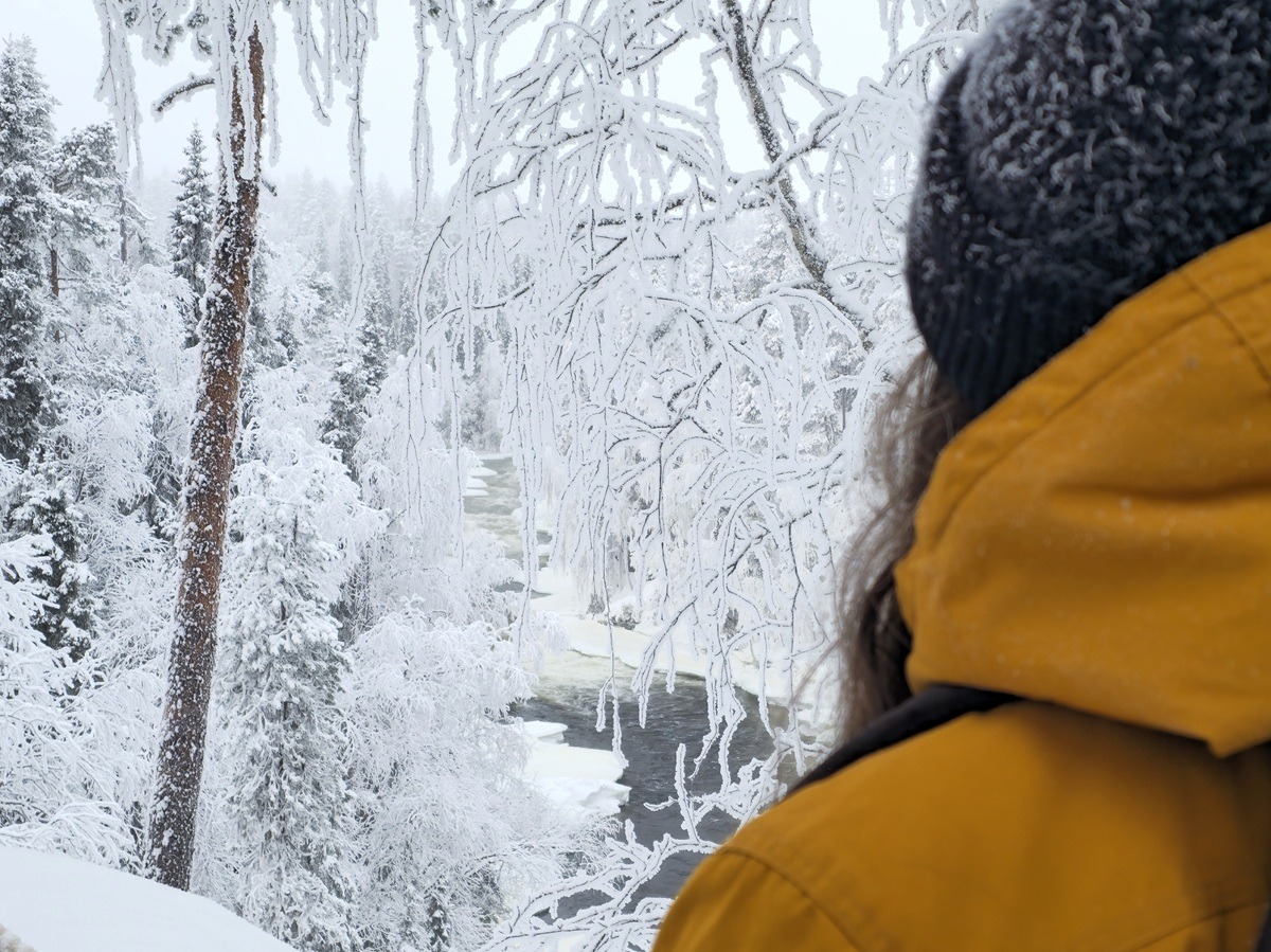 sneeuwschoenwandelen in ruka
