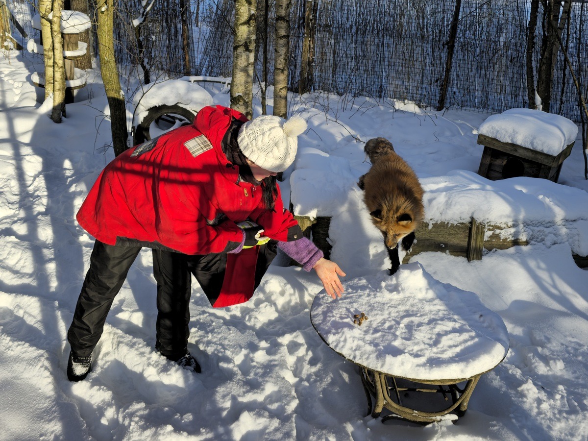 Heinola zoo