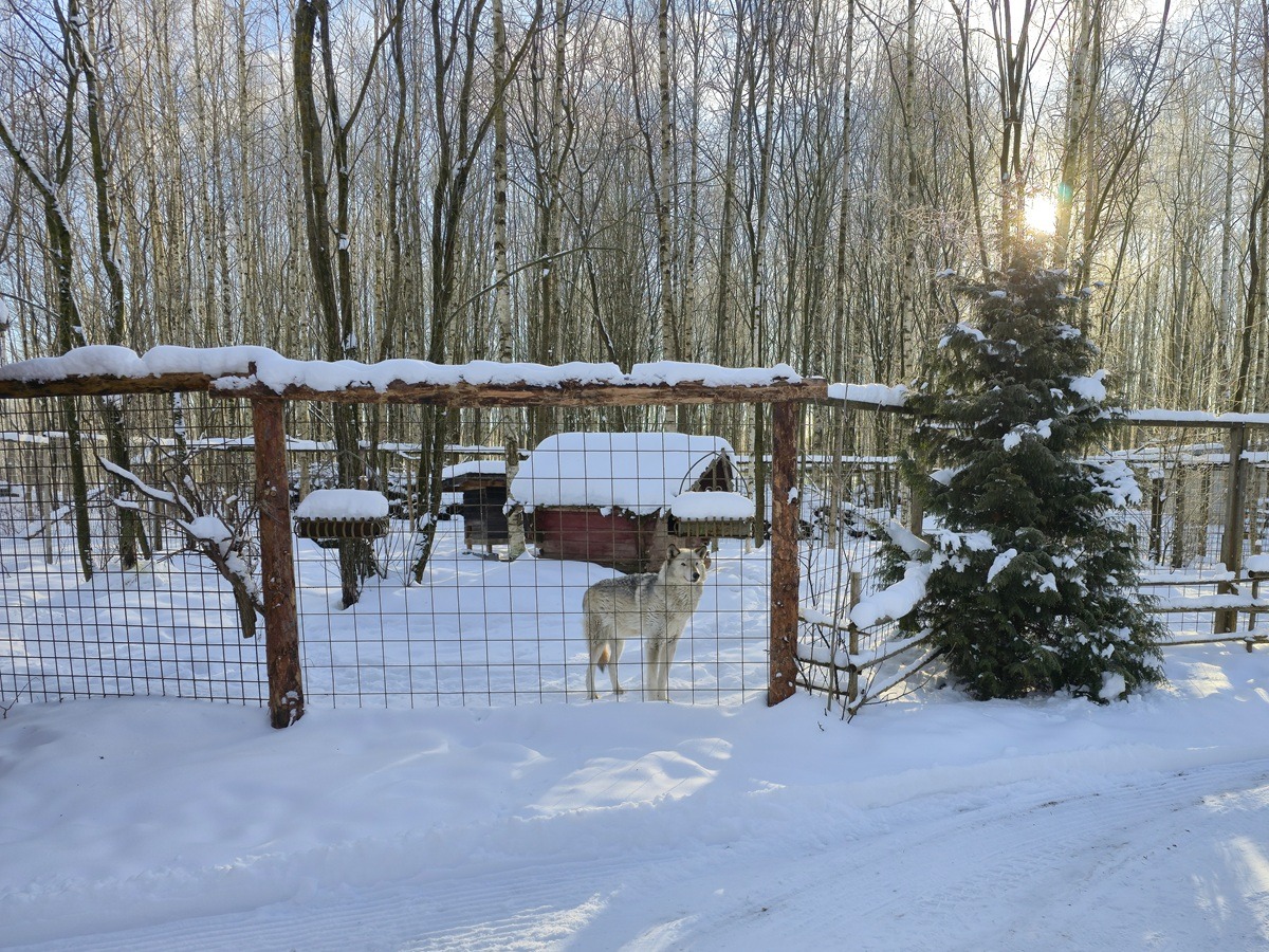 Heinola zoo