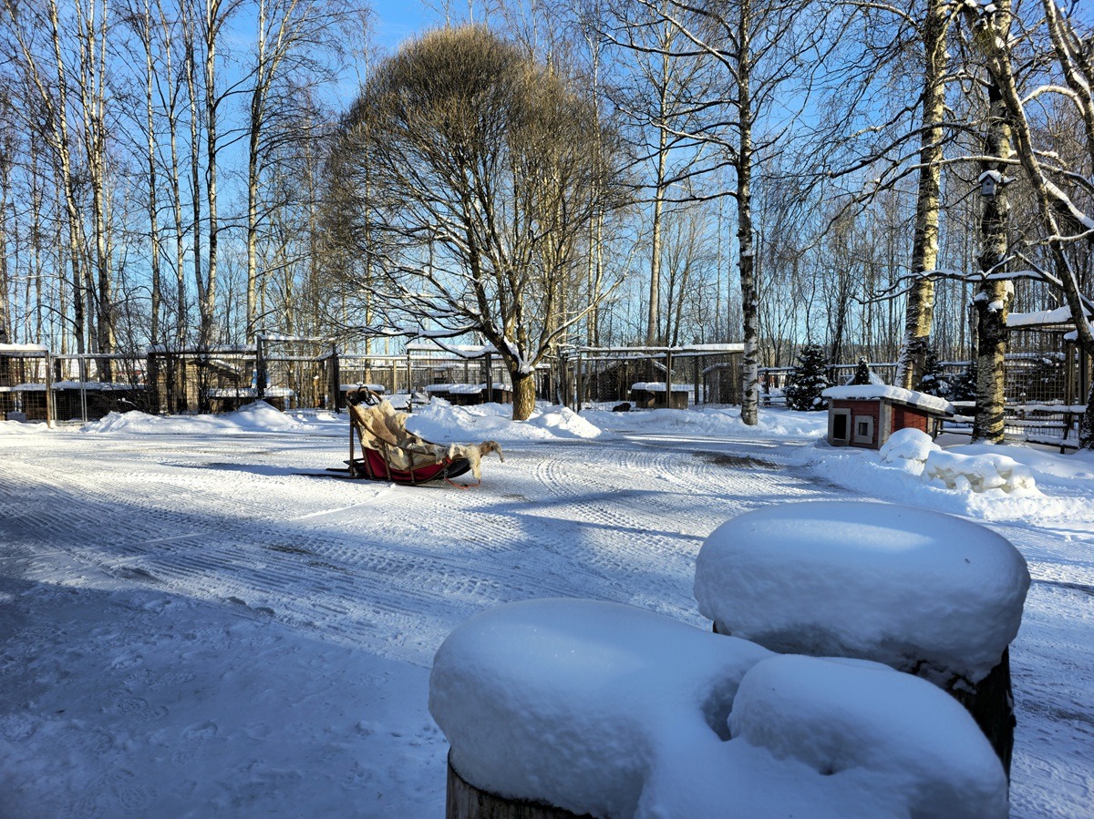 Heinola zoo