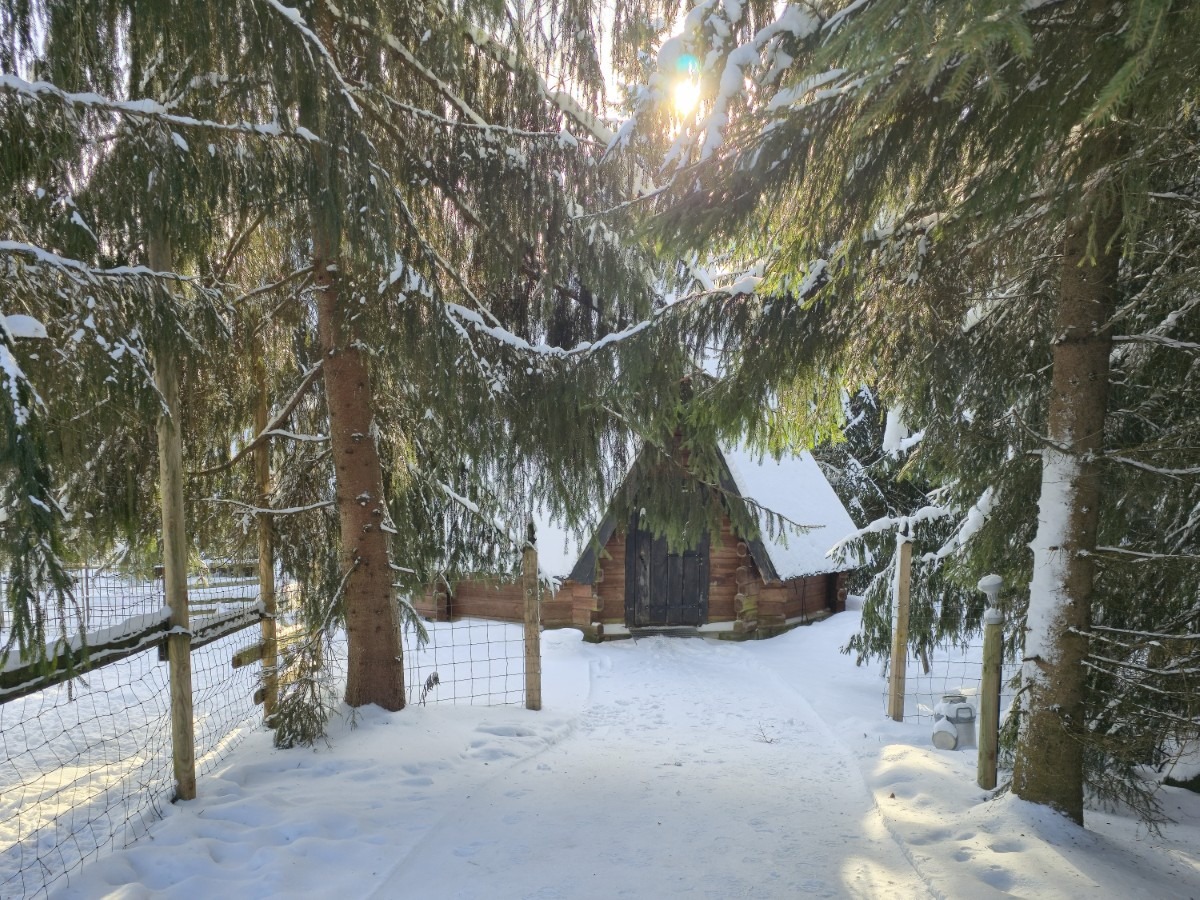 Moose Manor